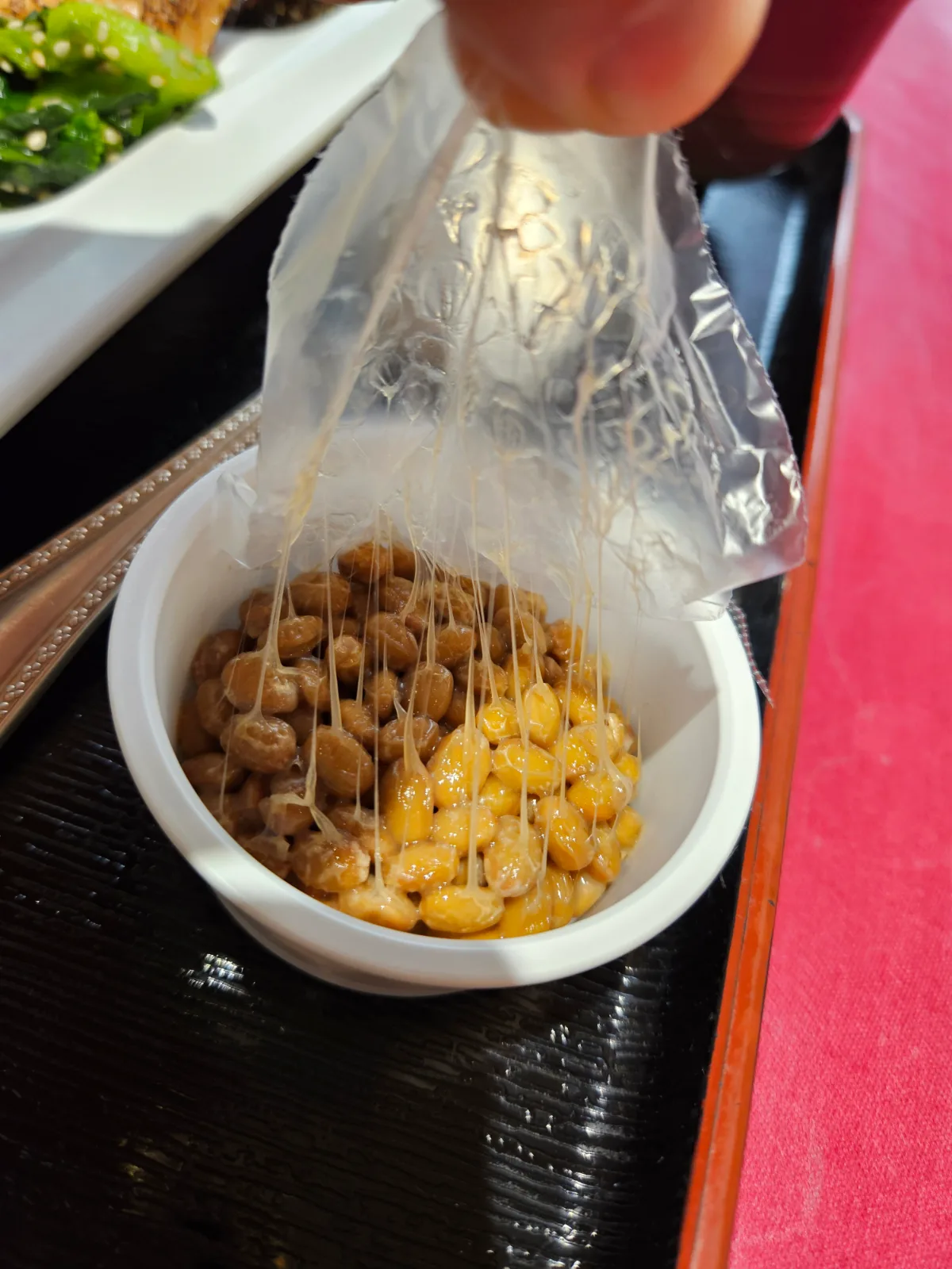 후쿠오카 가든 팰리스 20240922_082326