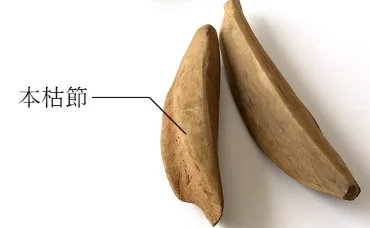 여행 사진