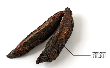 여행 사진